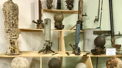 Widder-Sammlung